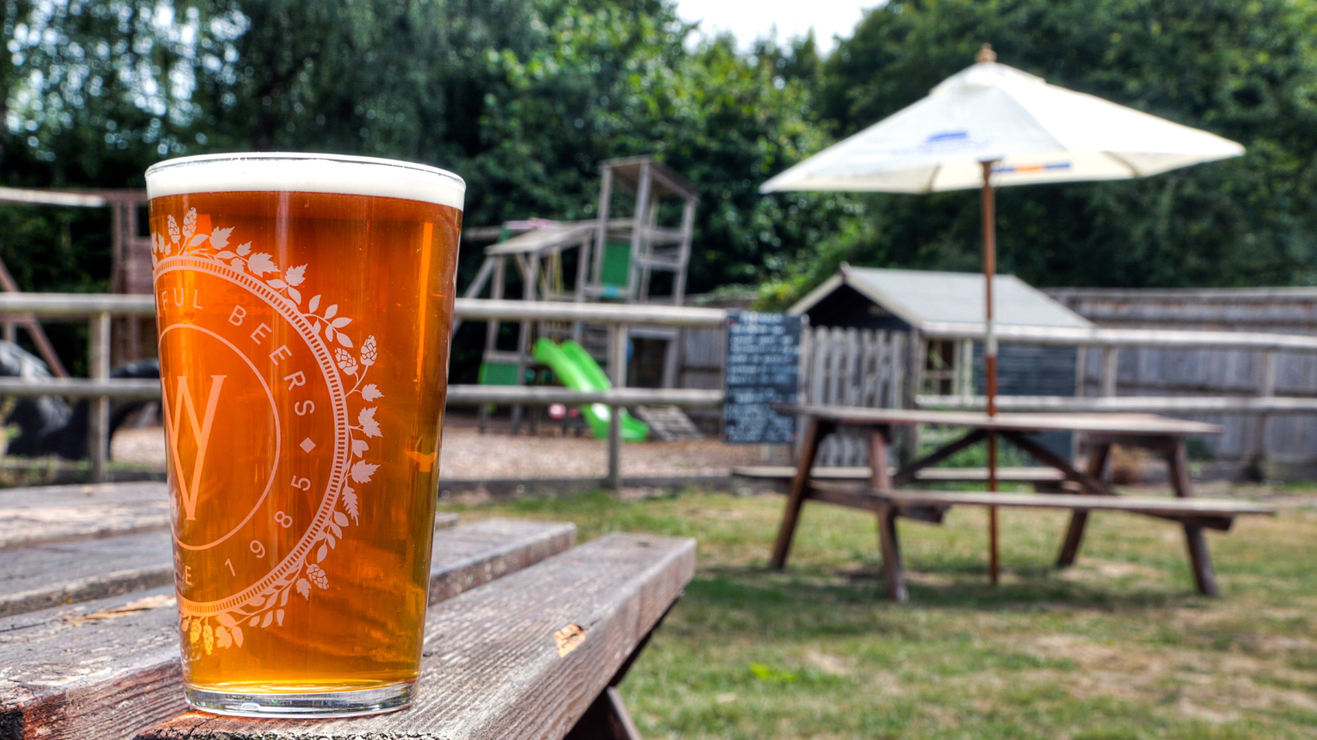 Banner Image - Pint of ale in the beer garden